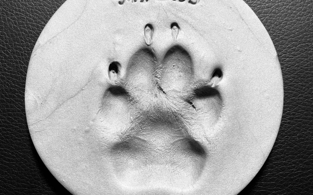 Miles 6/4/2010 – 6/27/2020