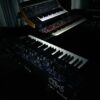 Synths by flashlight Synths by flashlight @dsisequential @moogmusic @nordkeyboards
