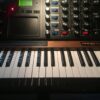Netflix is down. But my Minimoog isn’t. Netflix is down. But my Minimoog isn't.