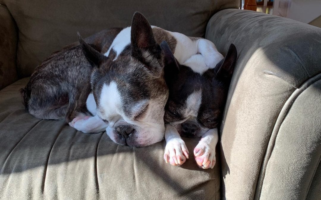 Today is hard